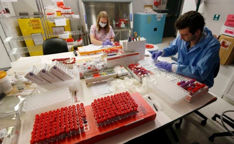 Софосбувир и даклатасвир оказались эффективны против коронавируса.